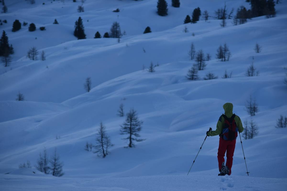 Snowshoe Powder Journey: The Underrated Escape Most Tourists Never Experience