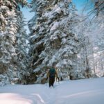 Powder Snowshoe Track: 7 Proven Ways to Avoid a Painful Winter Misstep
