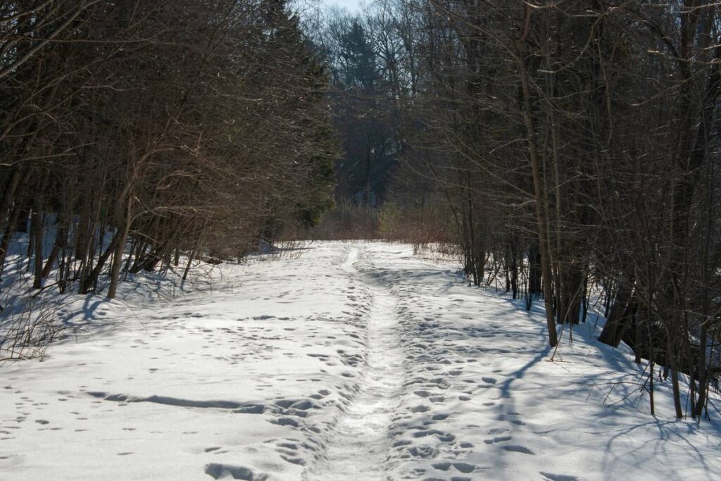 Snowshoe Thrill Route: 7 Proven Tips to Avoid Painful Winter Mistakes